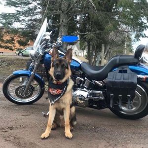 Meet your Posher, Opal